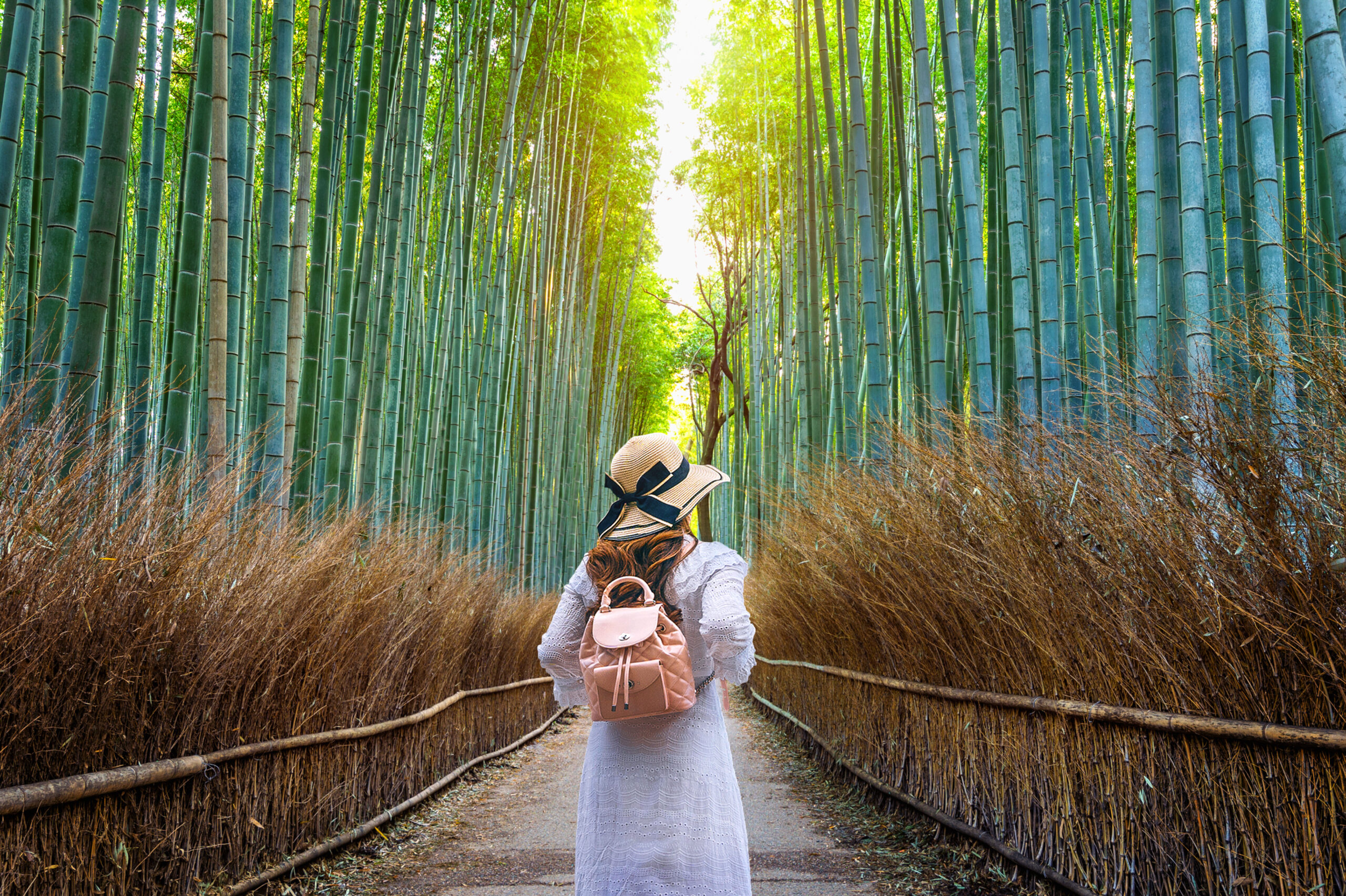 Things to Do in Tokyo
